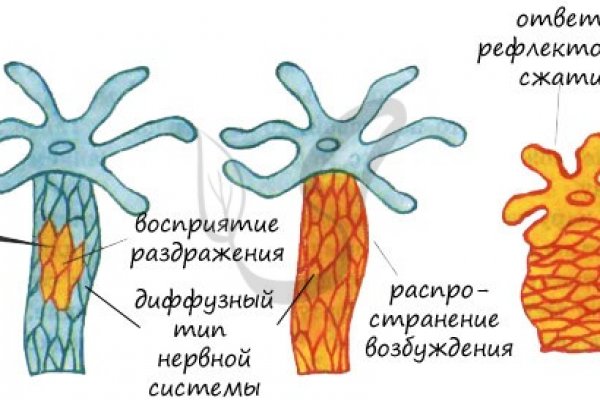 Kraken вход и ссылки