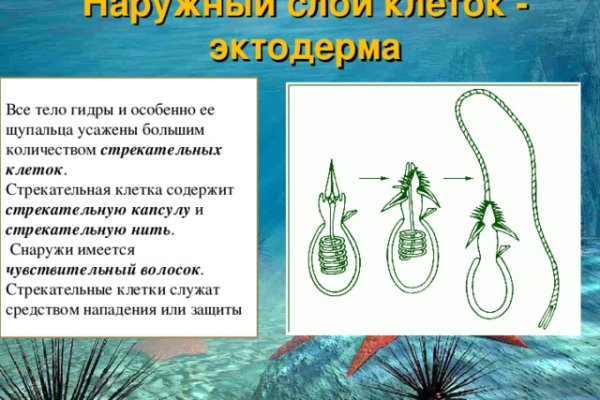 Кракен ссылка тор браузер
