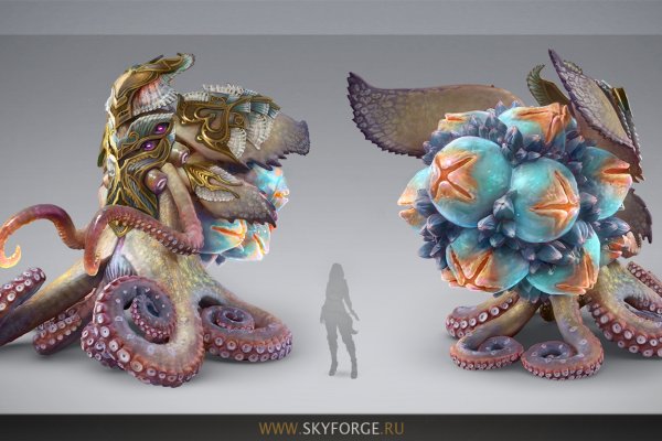Kraken 5at