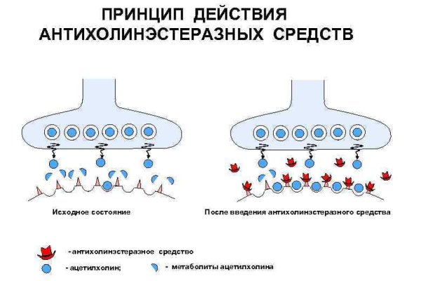 Кракен войти kraken darknet 2n com